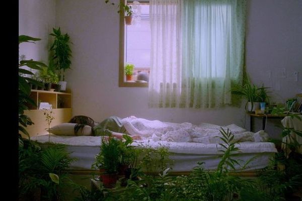 식물 (이명륜, 2024) | 비평 윤필립