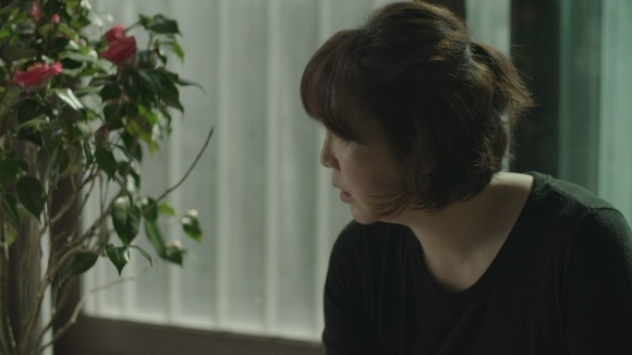 동백꽃이 피면 Camellias in Bloom